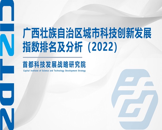 少妇插到包浆【成果发布】广西壮族自治区城市科技创新发展指数排名及分析（2022）